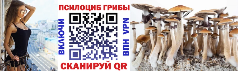 Галлюциногенные грибы Psilocybine cubensis  Спасск-Рязанский 